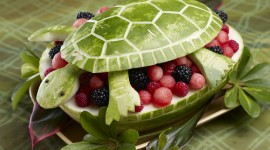 Turtle Salad Wallpaper