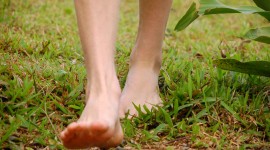 Barefoot On Grass Photo