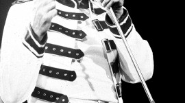 Freddie Mercury Wallpaper Download Free