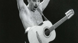 Freddie Mercury Wallpaper High Definition