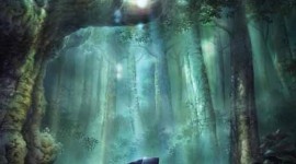 Piano Forest Wallpaper For IPhone