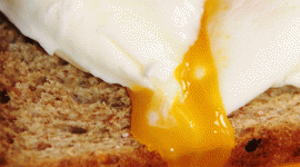 Poached Egg Wallpaper For IPhone