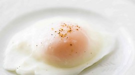 Poached Egg Wallpaper For PC