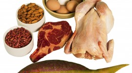 Protein Food Wallpaper Free