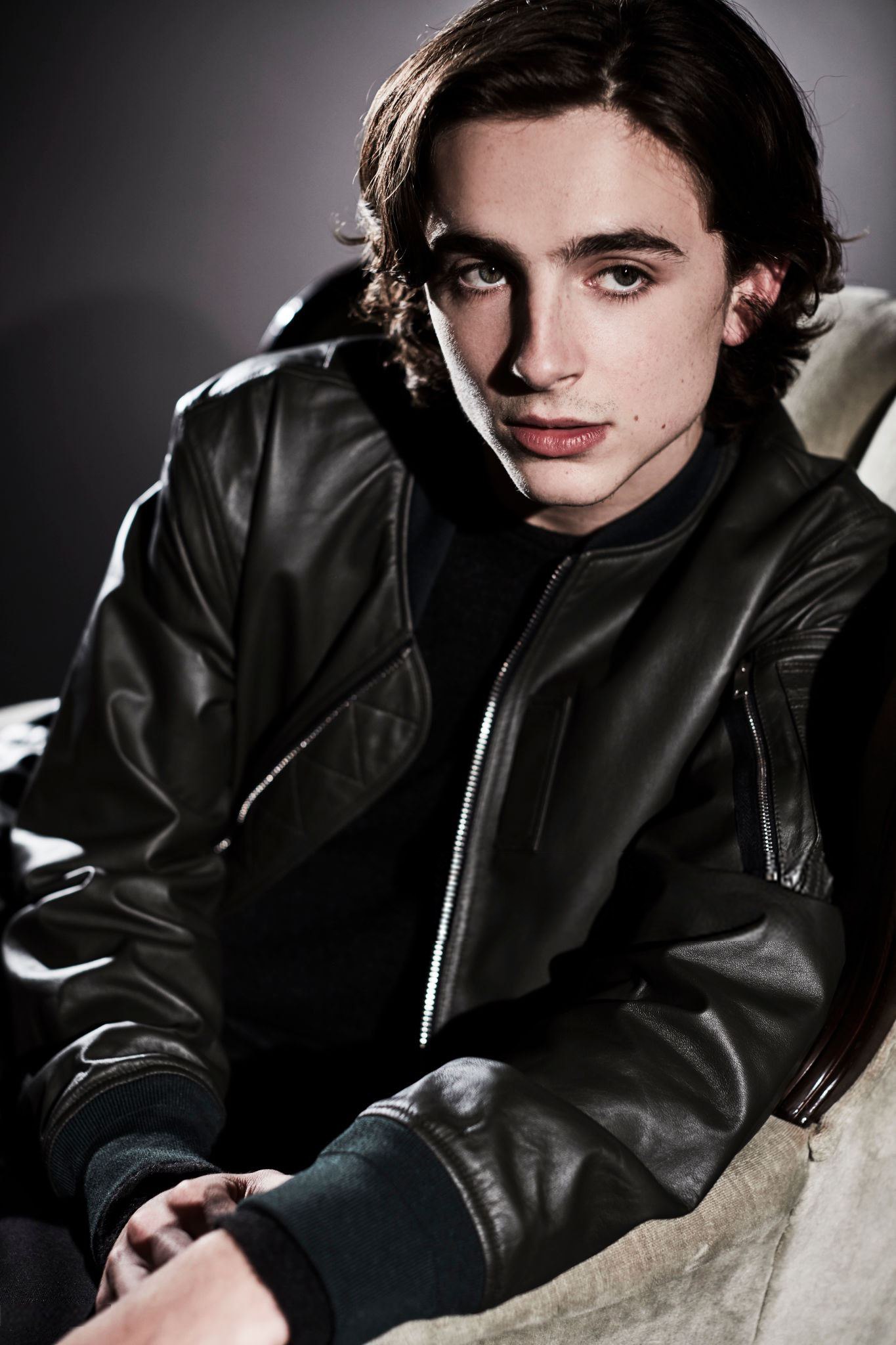 Timothée Chalamet Wallpapers High Quality Download Free