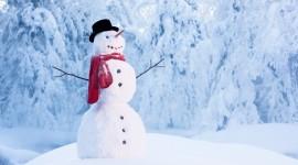 Build A Snowman Photo Free#1
