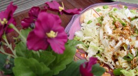 Chinese Cabbage Salad Wallpaper HD