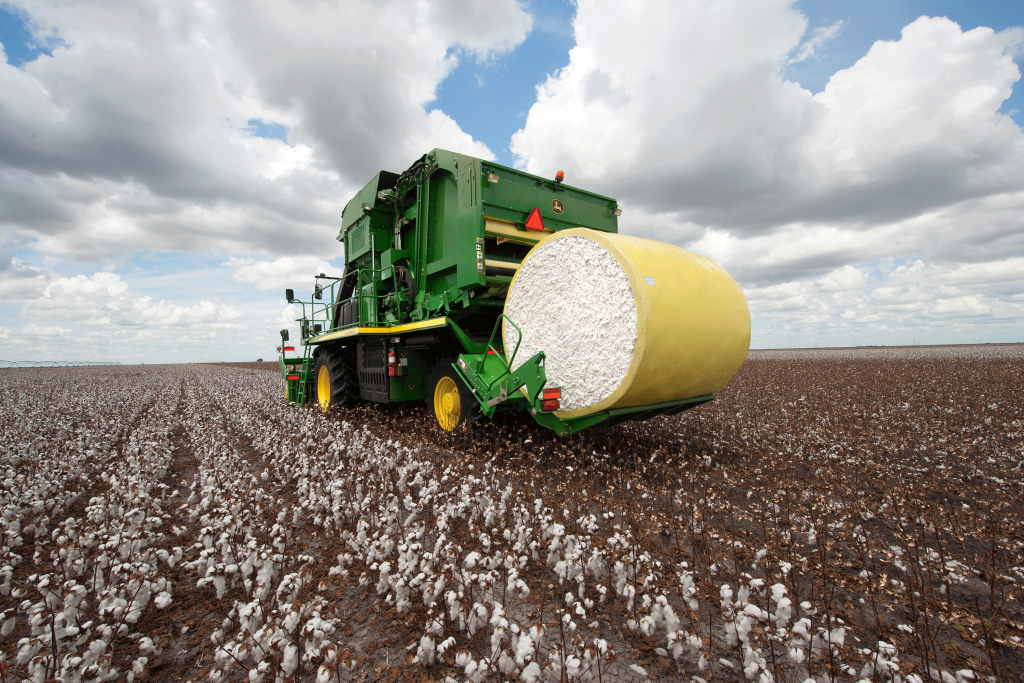Cotton Picking wallpapers HD