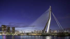 Erasmus Bridge Photo Download