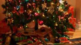 Gifts Under The Tree Tradition Photo Download