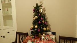 Gifts Under The Tree Tradition Photo Free