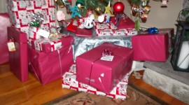 Gifts Under The Tree Tradition Photo Free#2