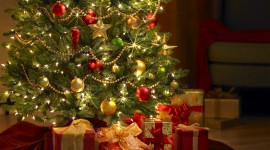 Gifts Under The Tree Tradition Wallpaper Gallery