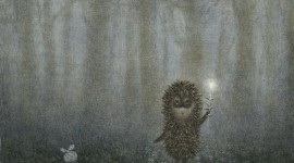 Hedgehog In The Fog Photo Download
