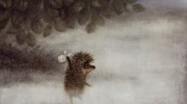 Hedgehog In The Fog Picture Download