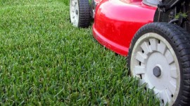 Mow Grass Photo Download