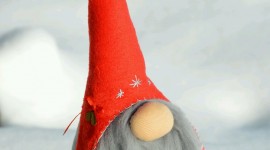 New Years Gnomes Wallpaper For Android#1