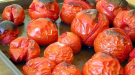 Roasted Tomatoes Wallpaper HD