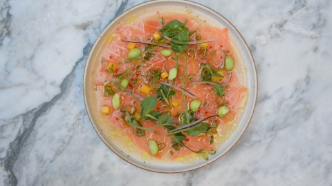 Salmon Ceviche wallpapers high quality