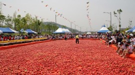 Tomatoes In Korean Wallpaper HQ
