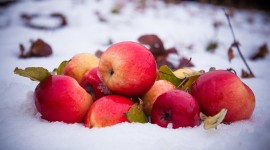 Winter Apples Desktop Wallpaper For PC