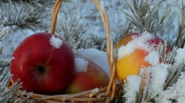 Winter Apples Photo#1