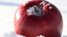 Winter Apples Wallpaper Download