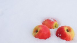 Winter Apples Wallpaper Free