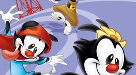 Animaniacs Wallpaper For IPhone