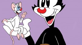 Animaniacs Wallpaper For IPhone Download