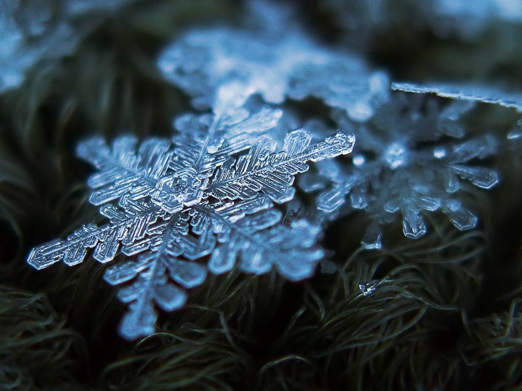 Beautiful Snowflakes wallpapers HD