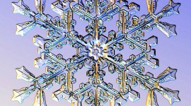 Beautiful Snowflakes Wallpaper For IPhone