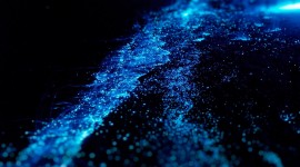 Bioluminescence Wallpaper For Desktop