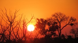 Dawn In Africa Wallpaper 1080p
