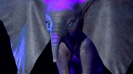 Dumbo 2019 Image