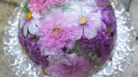 Flower Ice Wallpaper Download