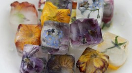 Flower Ice Wallpaper Gallery