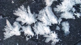 Frost Flowers Arctic Desktop Wallpaper