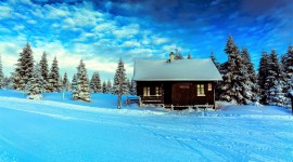 House In Winter Forest Wallpaper 1080p