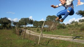 Jump The Fence Wallpaper Download