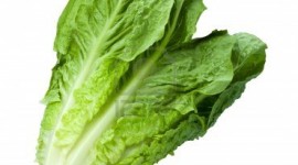 Lettuce Wallpaper For IPhone Download