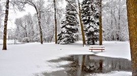 Park Bench Snow Photo Download