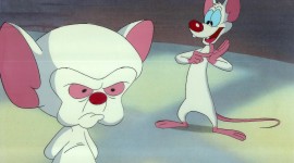 Pinky And The Brain Aircraft Picture