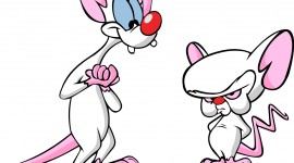 Pinky And The Brain Picture Download