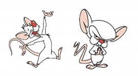 Pinky And The Brain Wallpaper Full HD