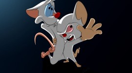 Pinky And The Brain Wallpaper Gallery
