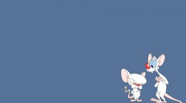 Pinky And The Brain Wallpaper HQ