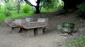 Unusual Benches Photo#2
