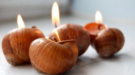 Unusual Candles Photo Download