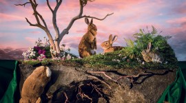 Watership Down Wallpaper For PC